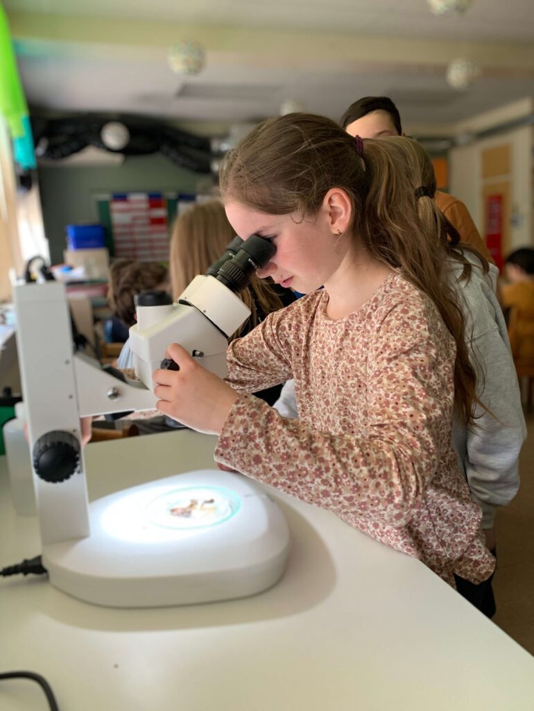 Une petite fille examine des insectes au microscope
